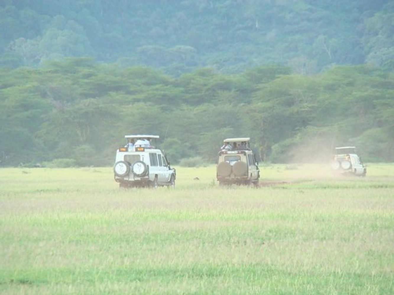 7 Days Tanzania supper luxury Lodge Serengeti migration Safari