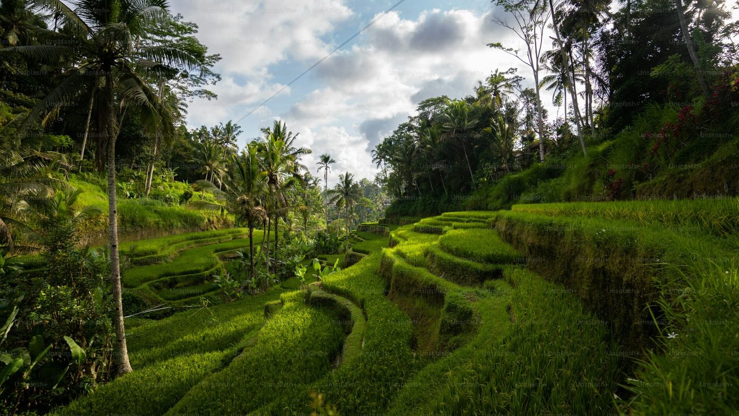 Yoga in Ubud Bali July 25- August 1, 2026