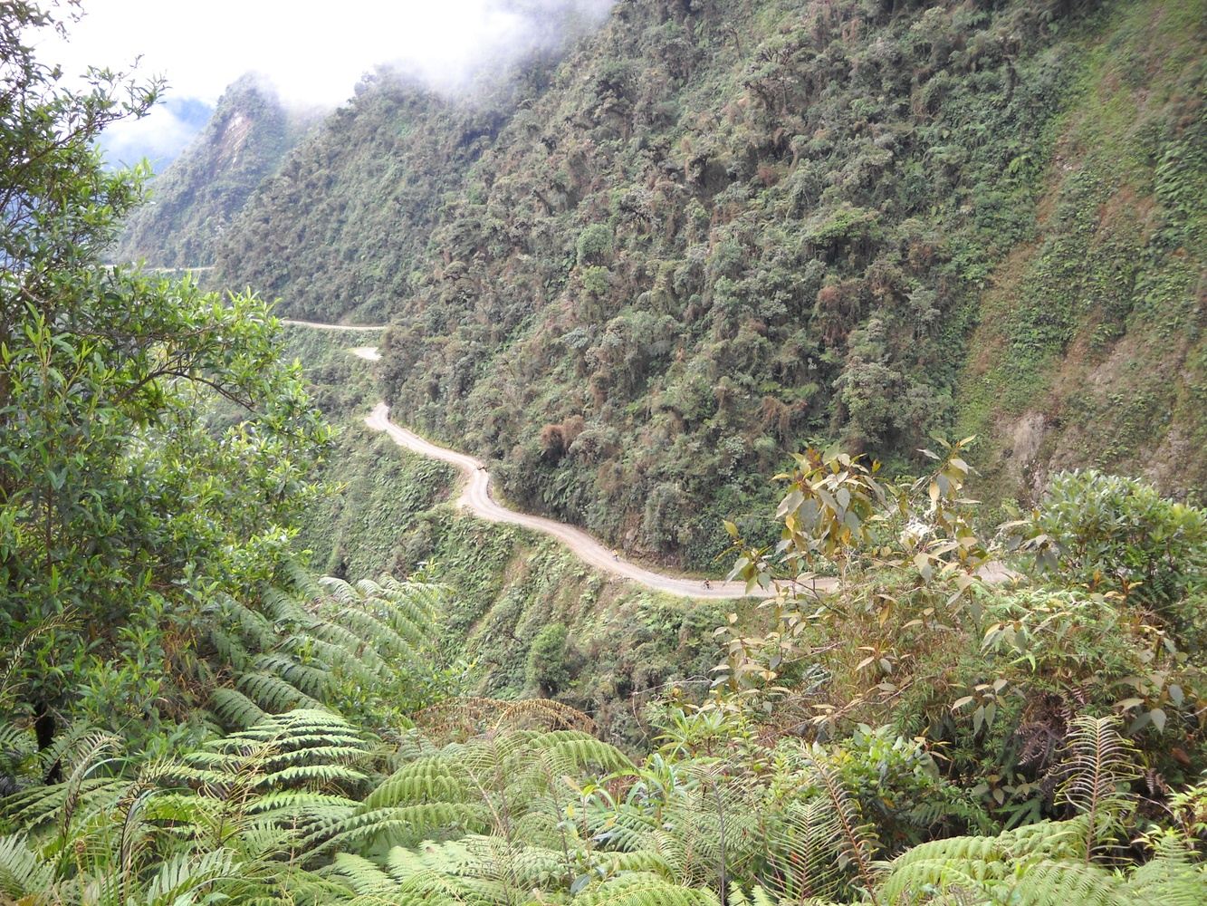 Mountain Biking Coroico - Full Day