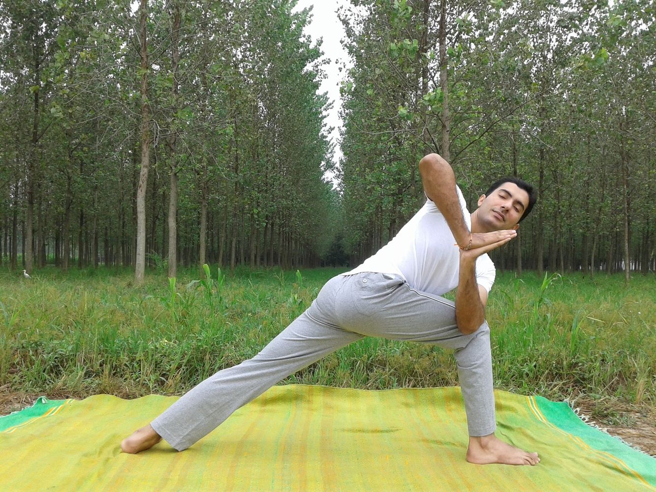 200 Hour Yoga Teacher Training on Sustainable Farm