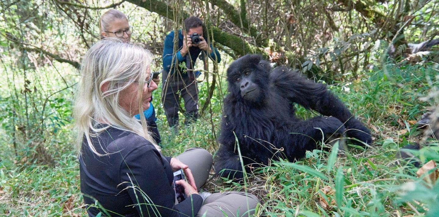 SOLD OUT:  13-Days on a Gorilla, Chimp and Wildlife Safari