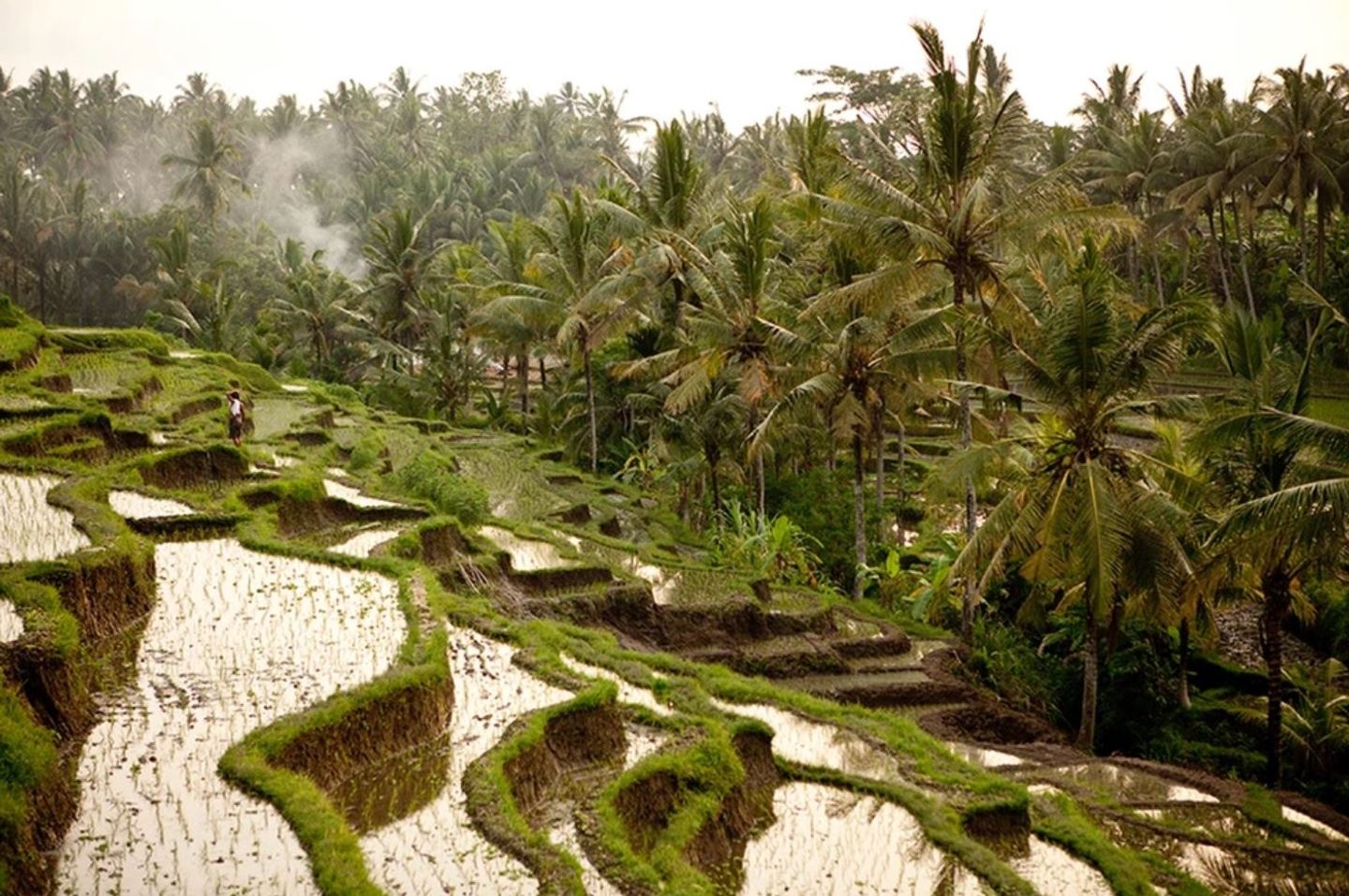 Soul Shine Bali Retreat