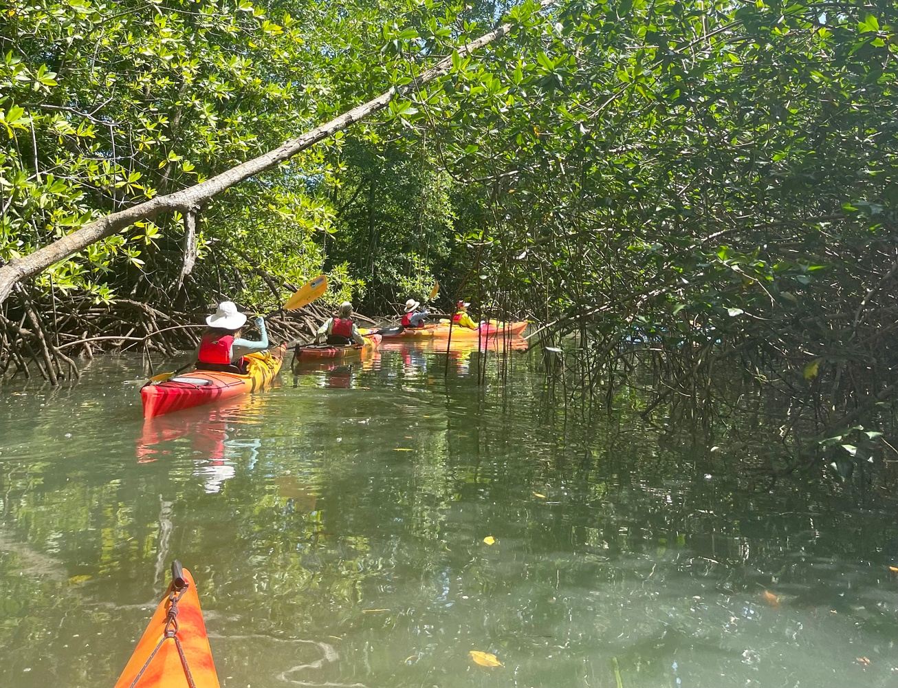 7-Day Tortuguero Kayaking Trip