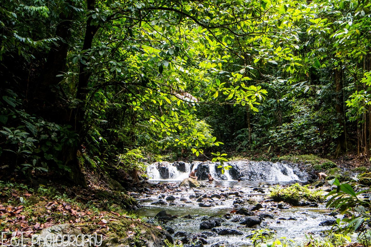 Corcovado - San Pedrillo station - 1 Day - PRIVATE