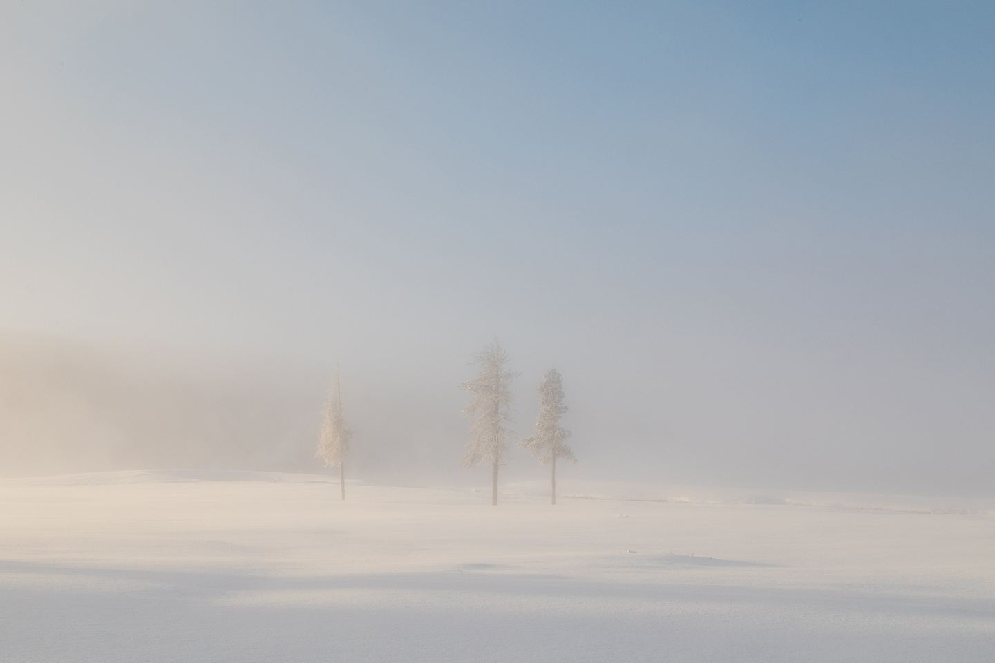 Winter Inside Yellowstone