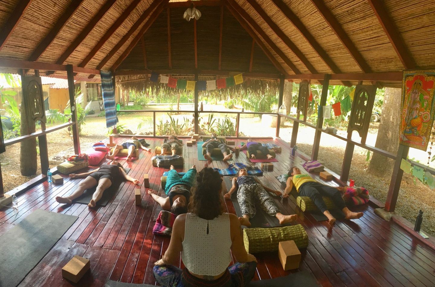 200 Hour Vinyasa and Restorative Yoga Teacher Training