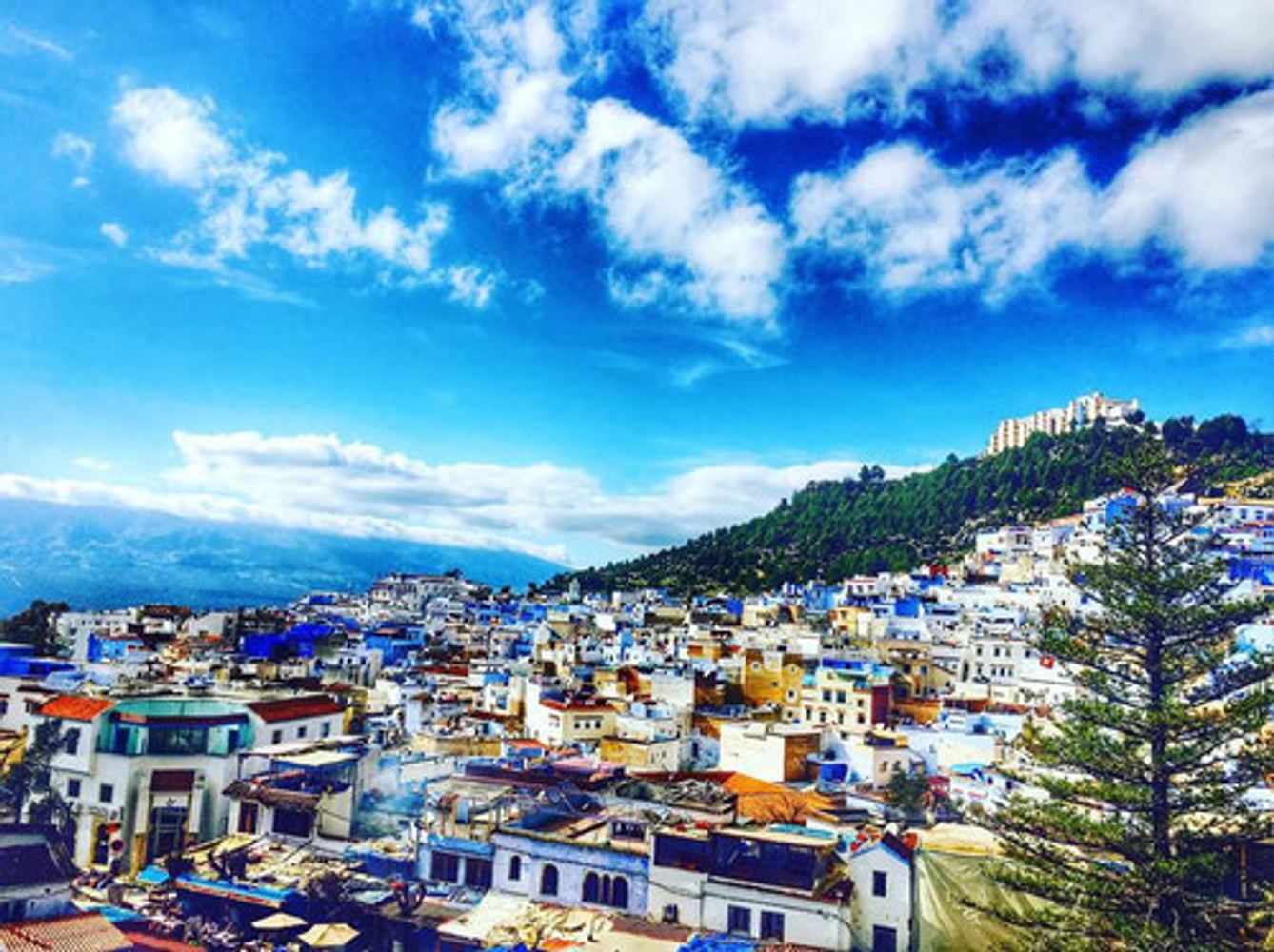 Day Trip From Fes To Chefchaouen