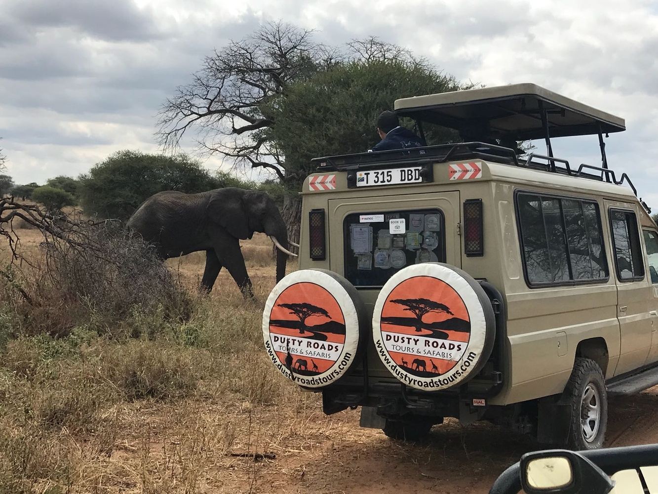 8 Day Tanzania Safari