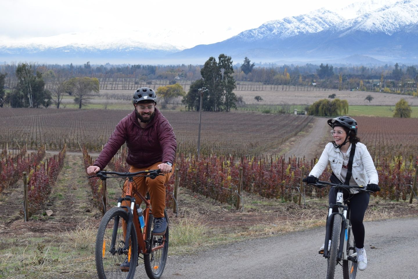 Bike & Wine Adventure in the Andes Mountains: Pedal and Taste