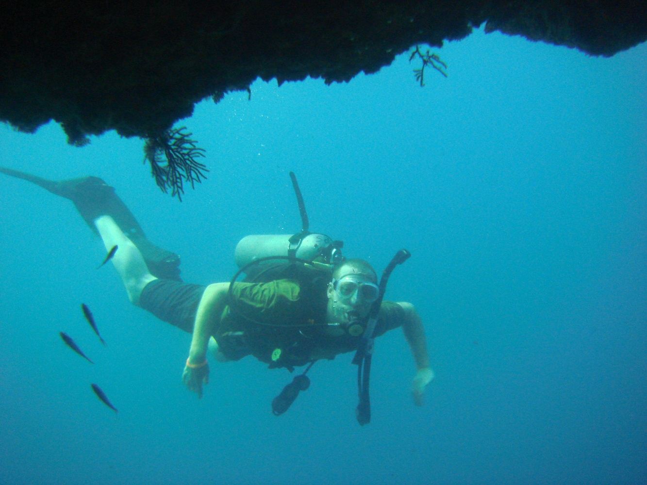 MARIETAS 2TANK DIVE in Puerto Vallarta, Jalisco, Mexico