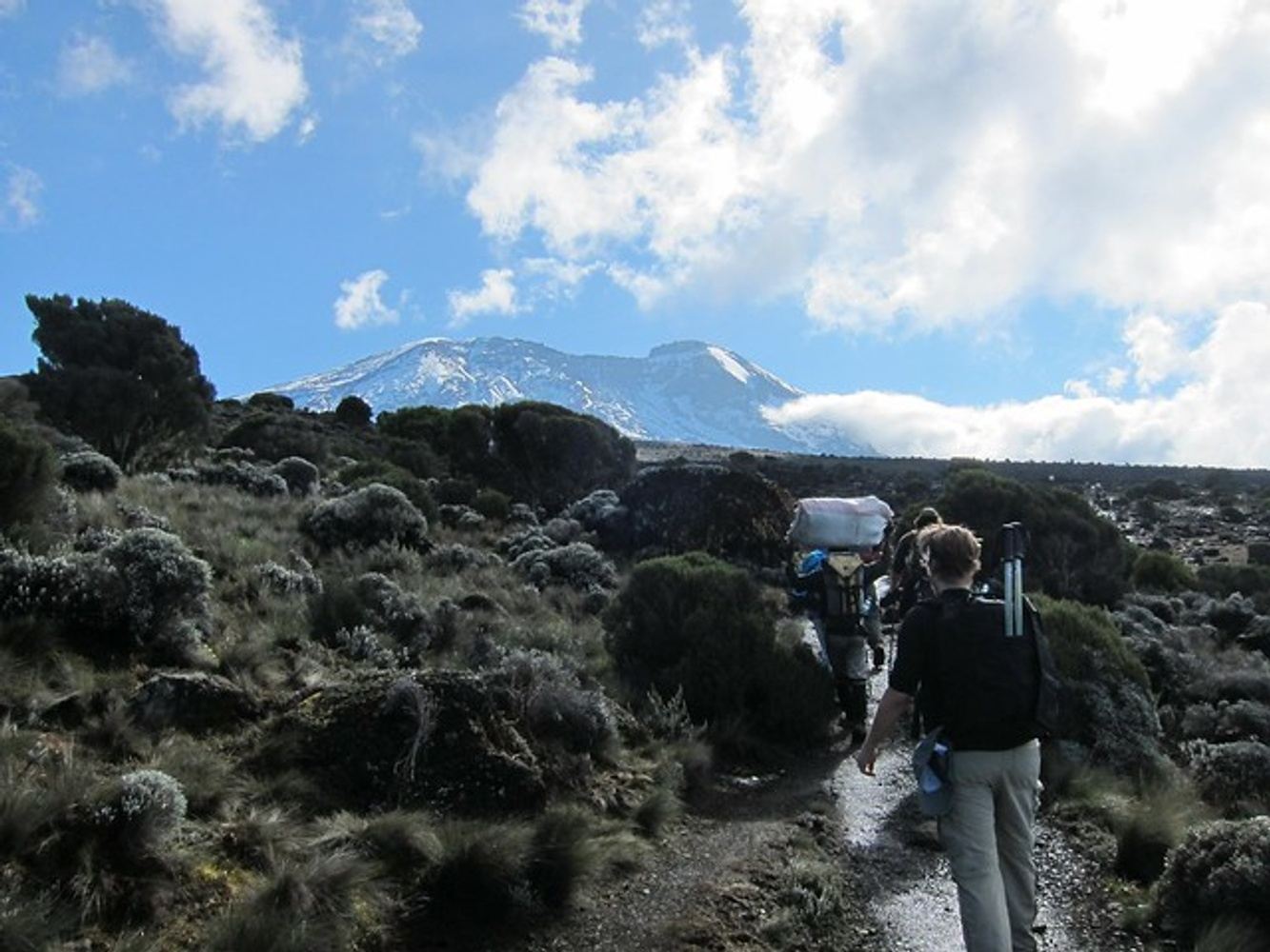 Climb Mt.Kilimanjaro Via  Rongai Route