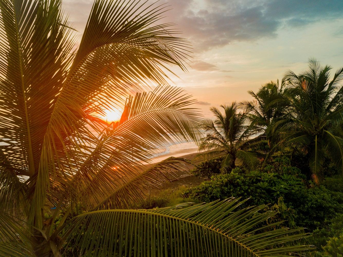 Sacred Balance: A Luxury Vegan Retreat