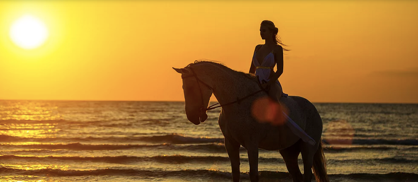Costa Rica Horseback Riding Retreat (January 2020)