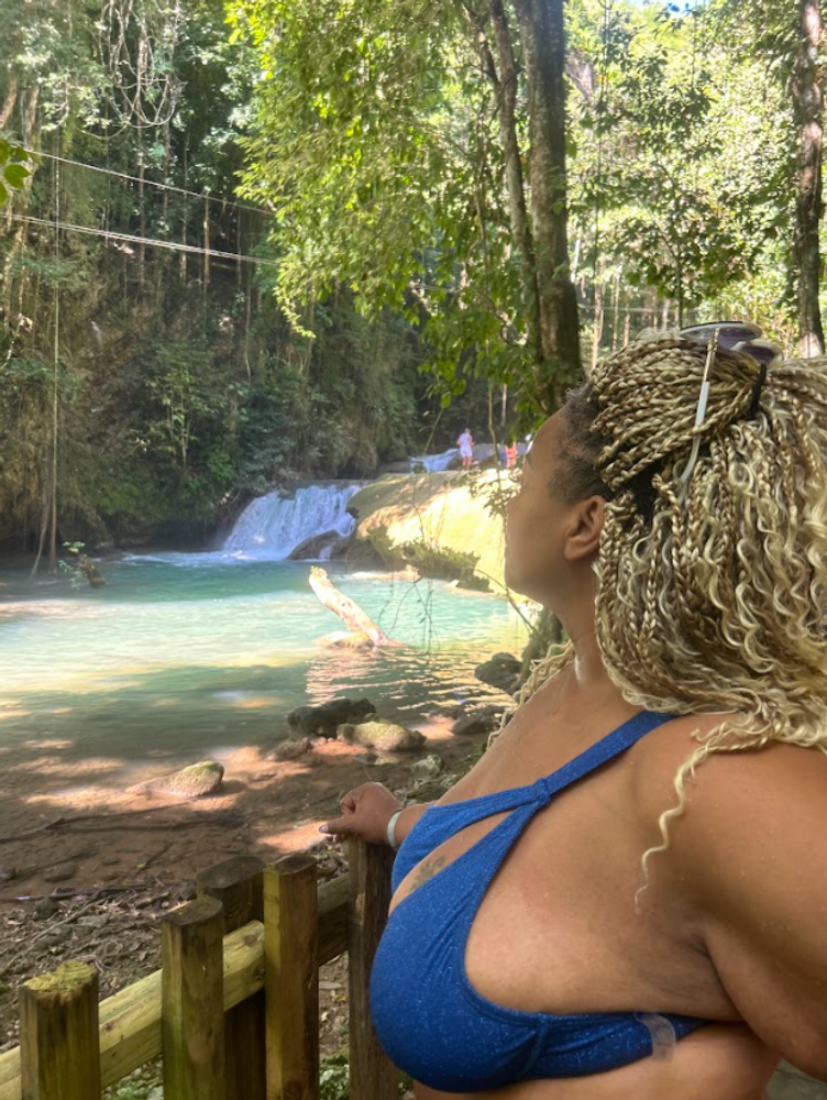 YS Falls & Appleton Estate Rum Tour