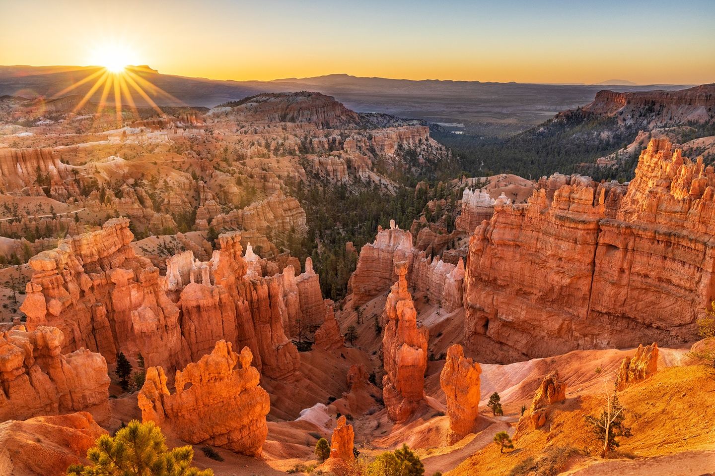 Bryce Canyon Magical Light & Night Skies