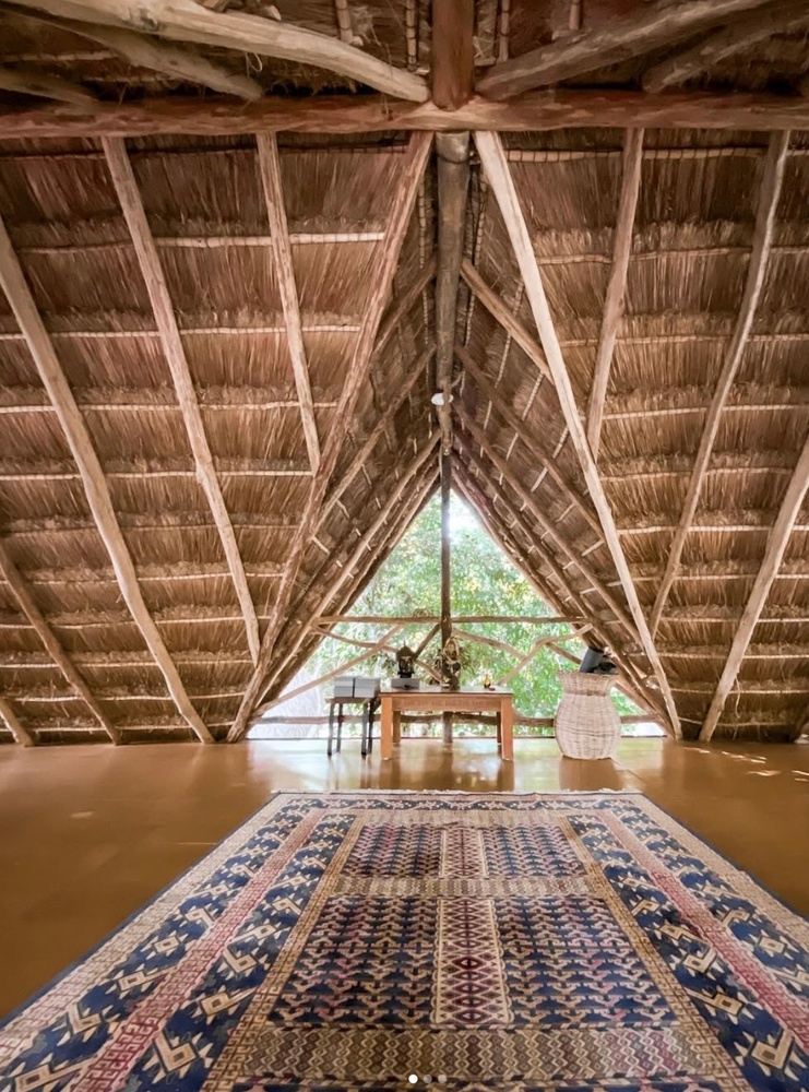 Private Bufo Alvarius Retreat in Tulum