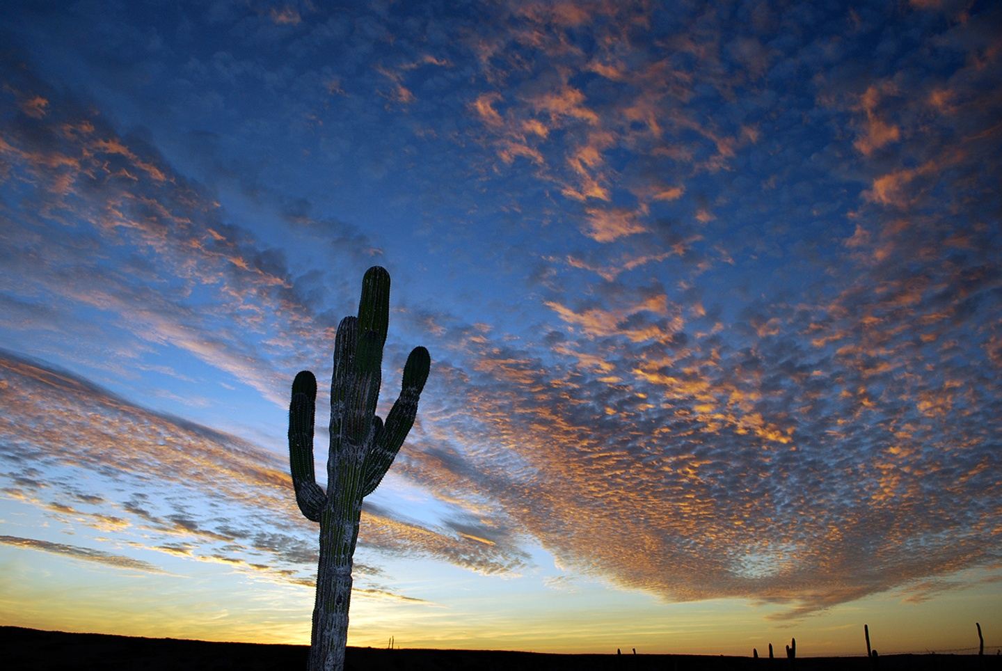 Mexico 2023: Spiritual Yoga Retreat— Ancient Teachings, Modern World