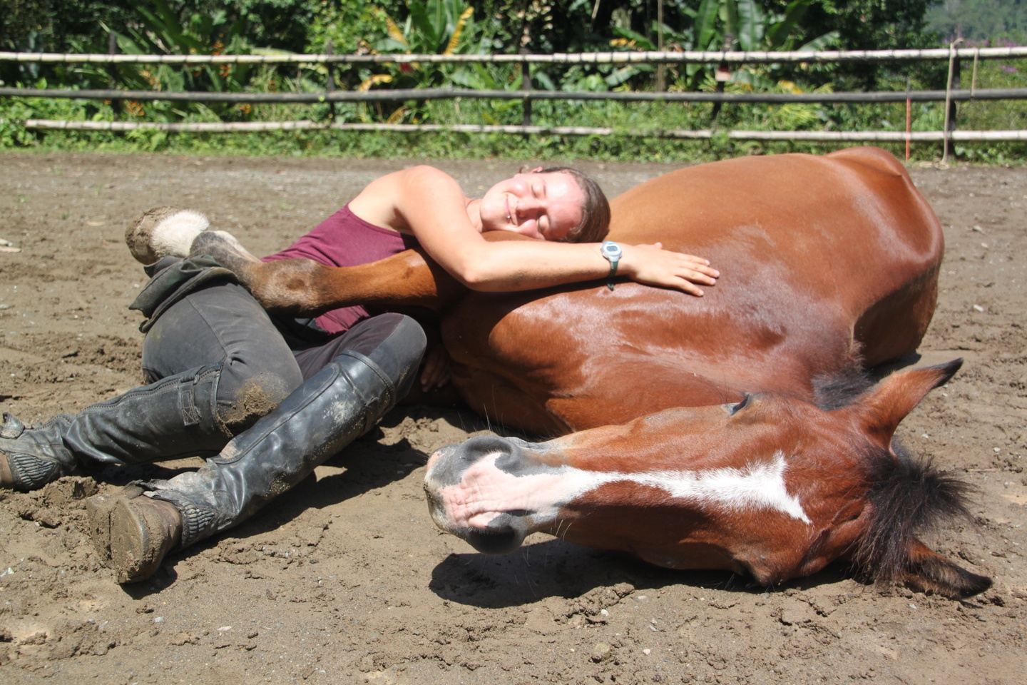 Equine Care Specialist Certification