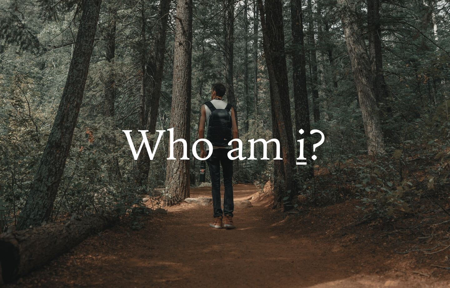 Who am i? Weekend of 20+21 June 2020