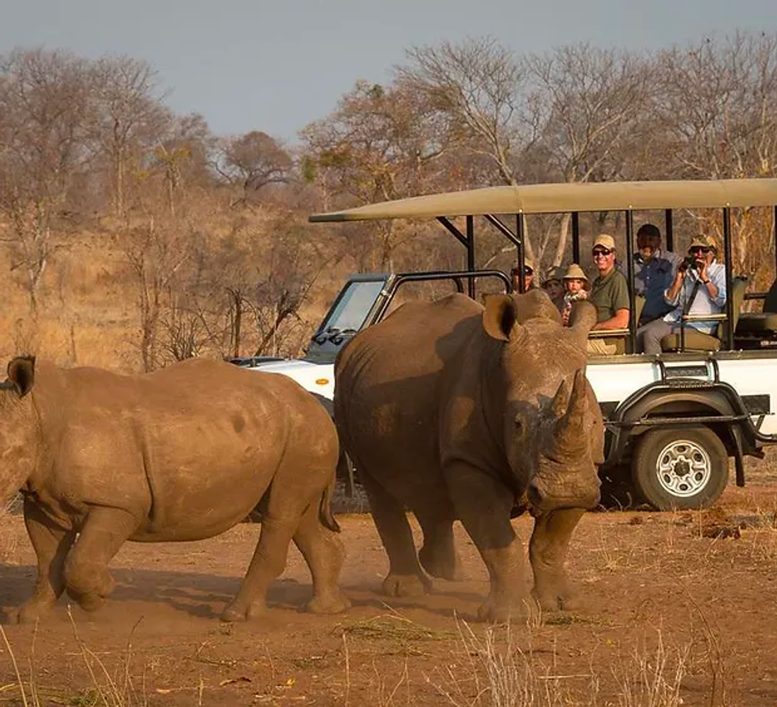 Game drive/Rhino walk Safari