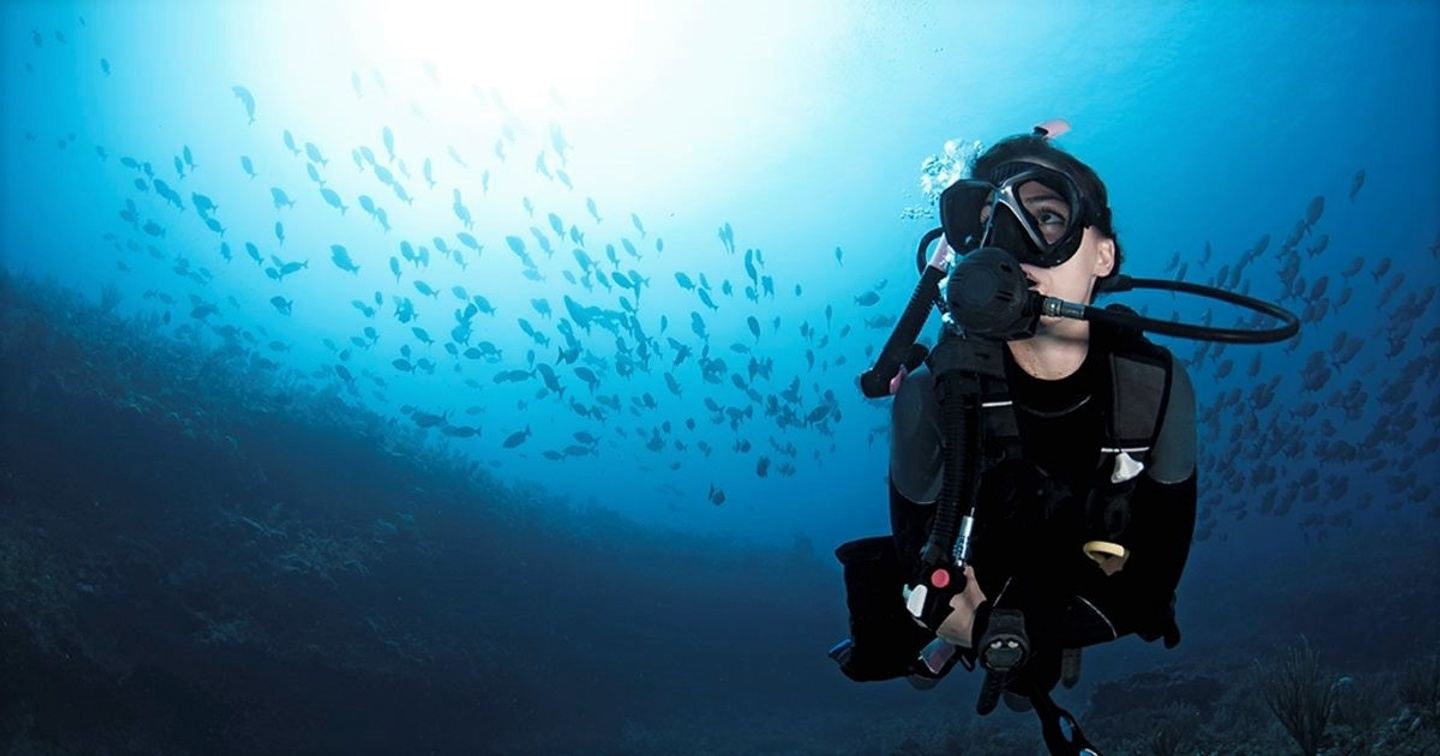 Advanced Open Water Course in Playa del Carmen, Quintana Roo, Mexico