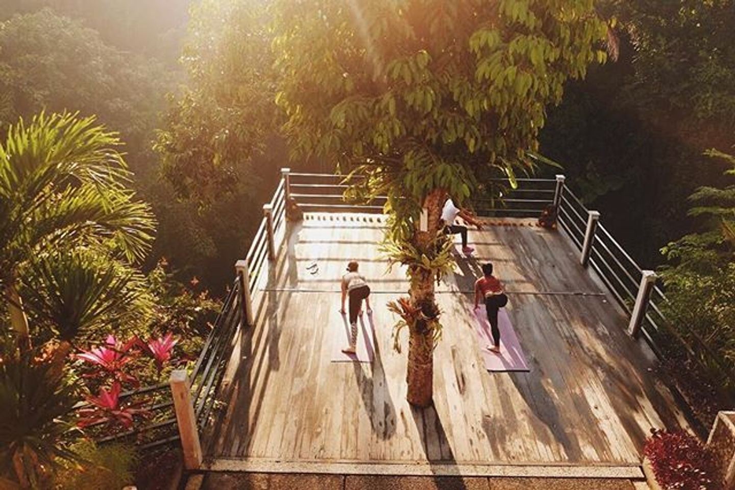 Yoga the five elements bali retreat in ubud gianyar bali indonesia
