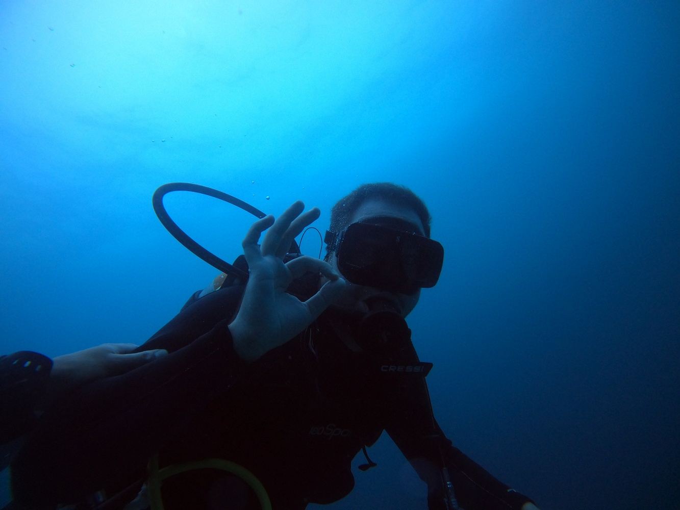 Discovery daily diving tour