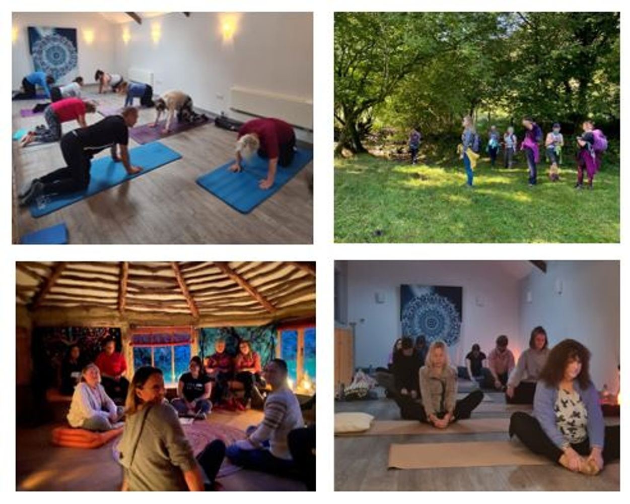 4 Day Yoga & Wellness Retreat