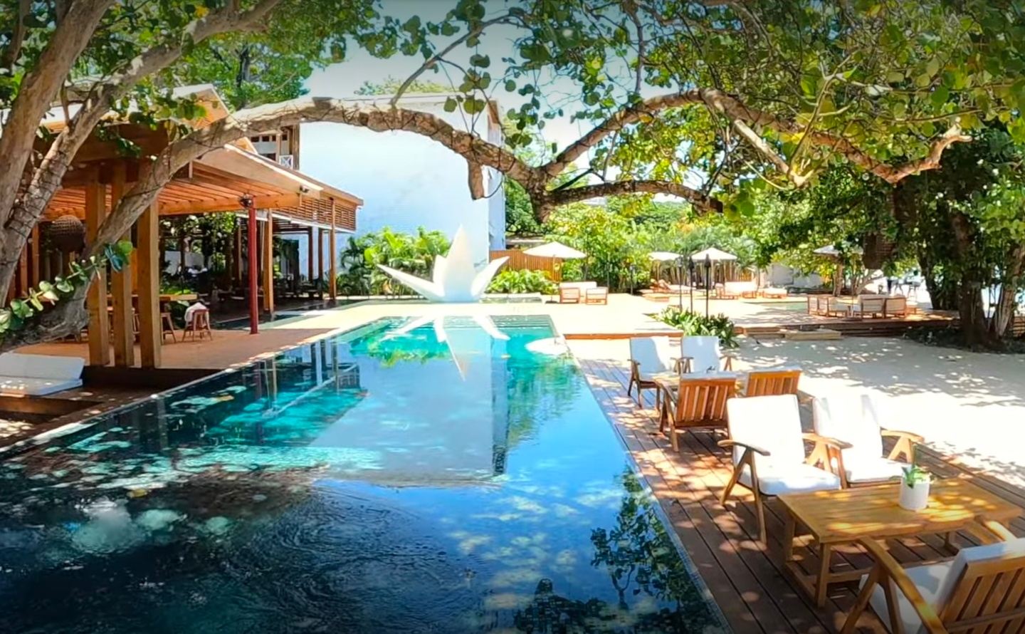 Diving into Roatán 2026