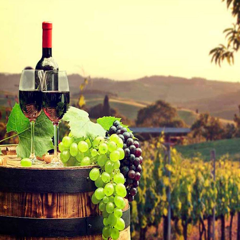 Tour del vino Antioqueño