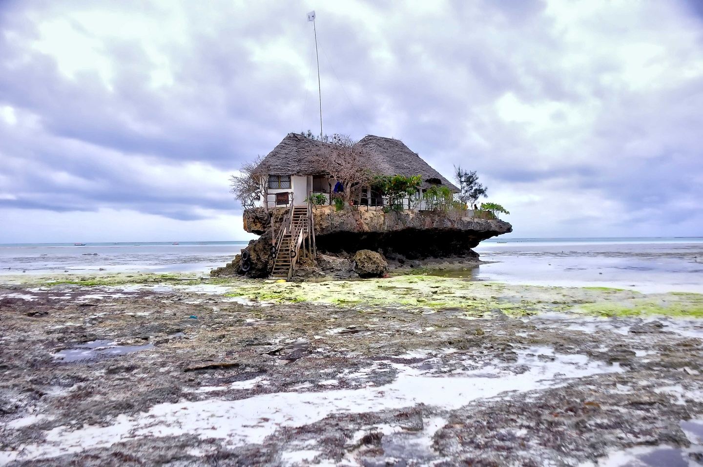 Escape to Zanzibar/w Optional SAFARI (must book seperately)