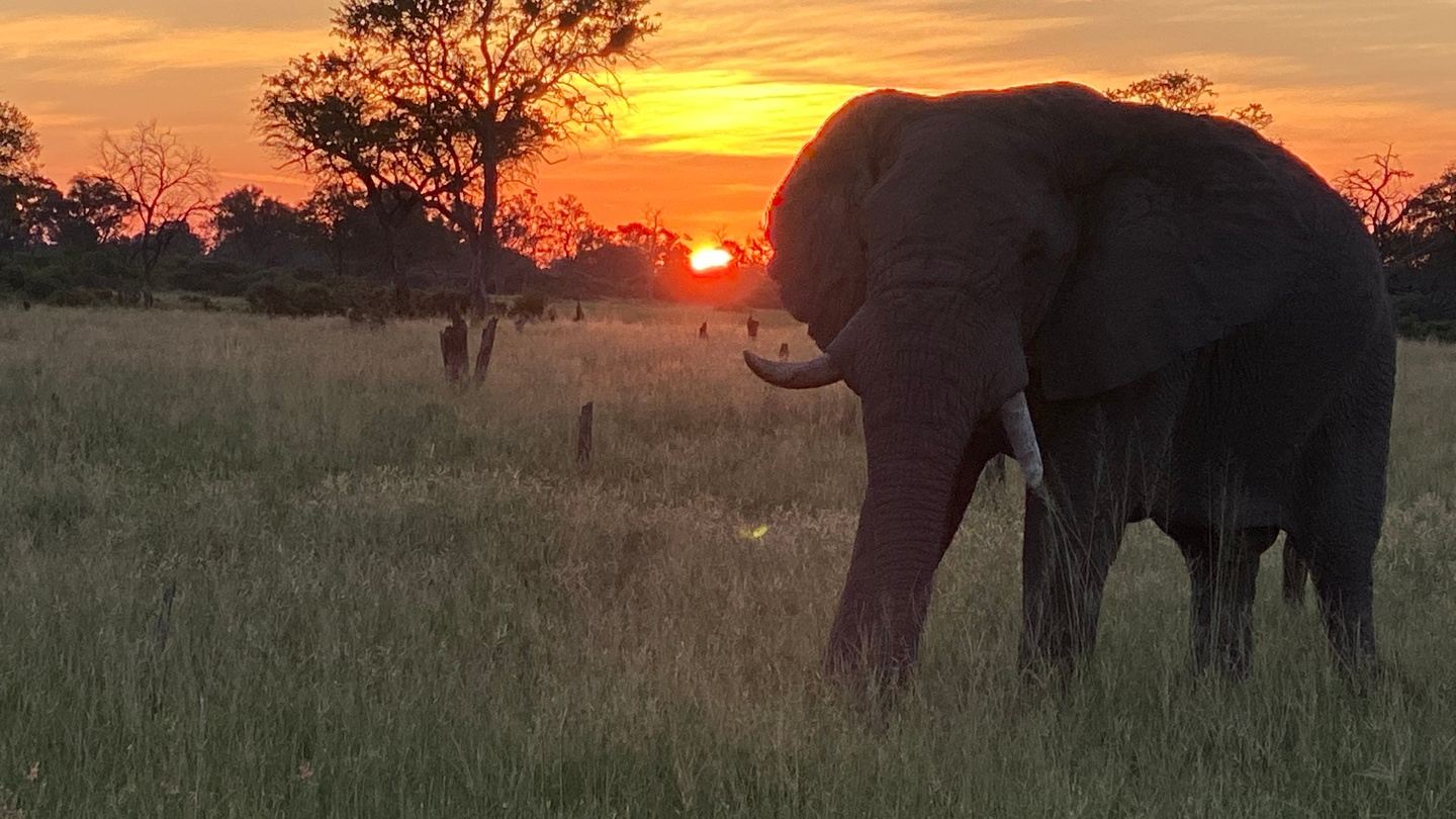 Second Family Tanzania  Safari  2025