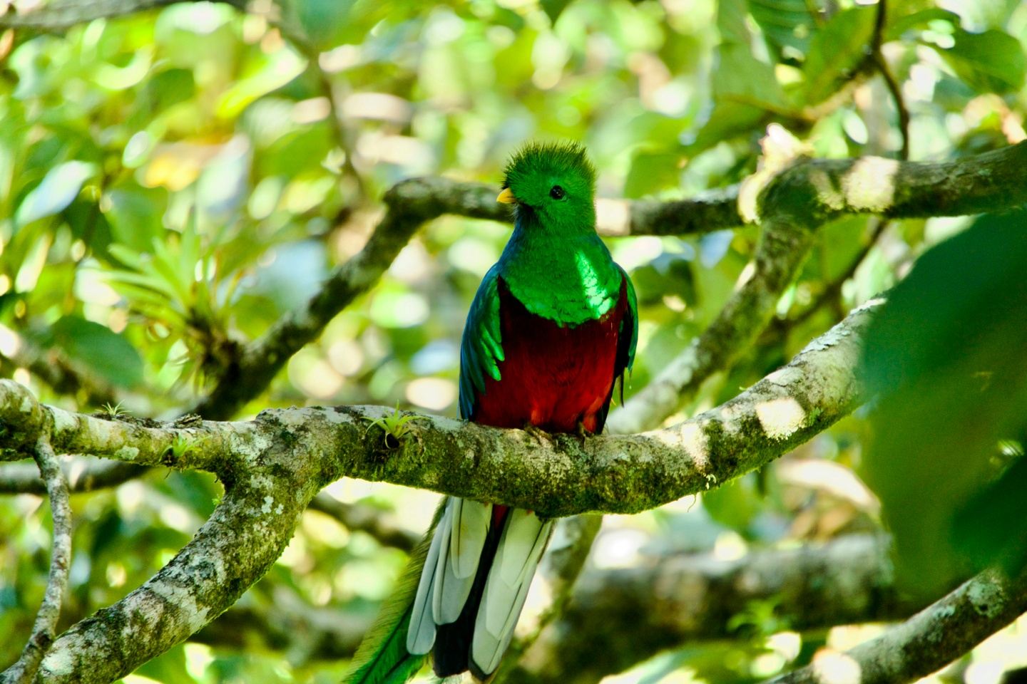 Costa Rica: Culture of Conservation