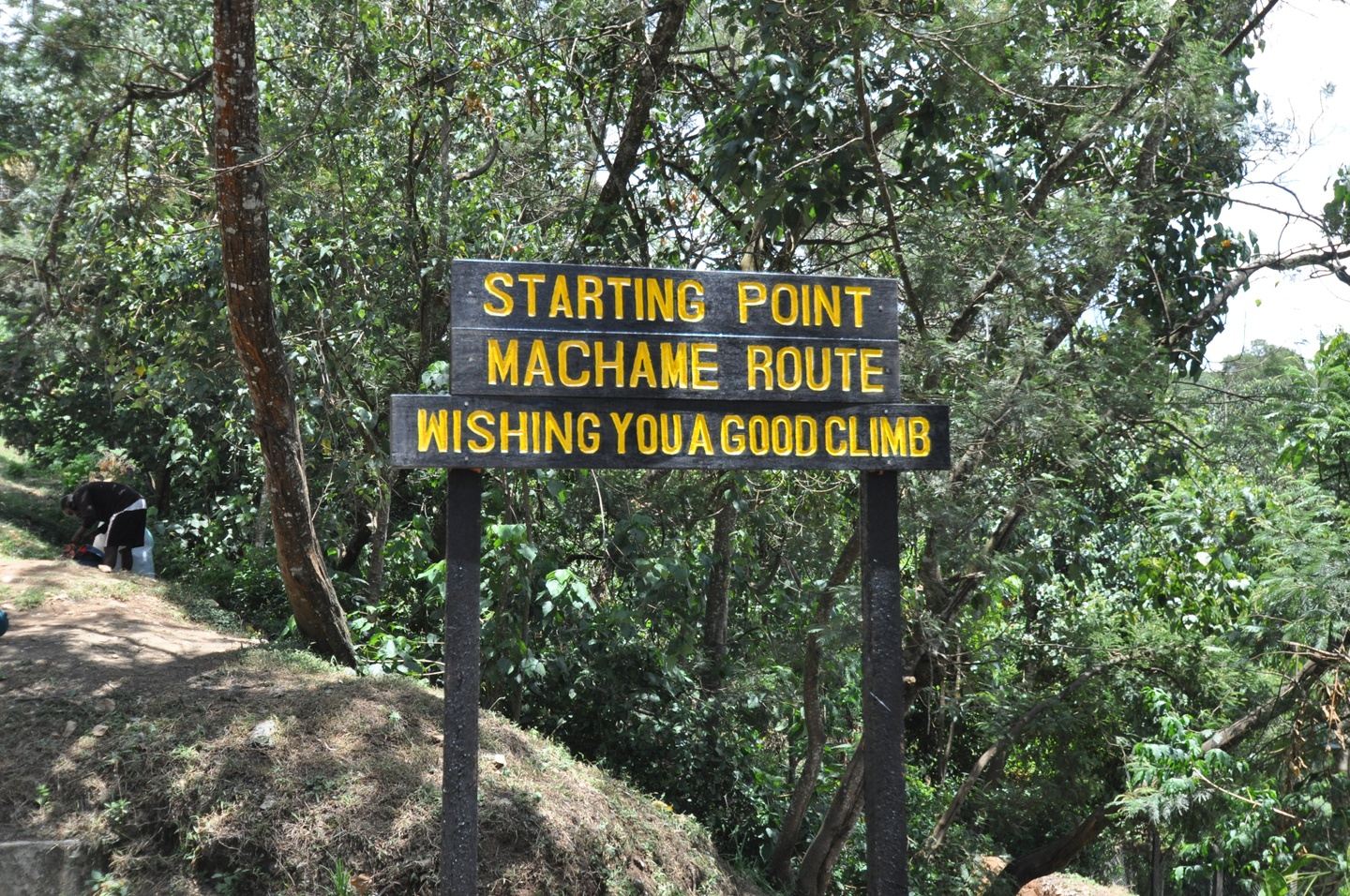 7 days Machame Route Join Group