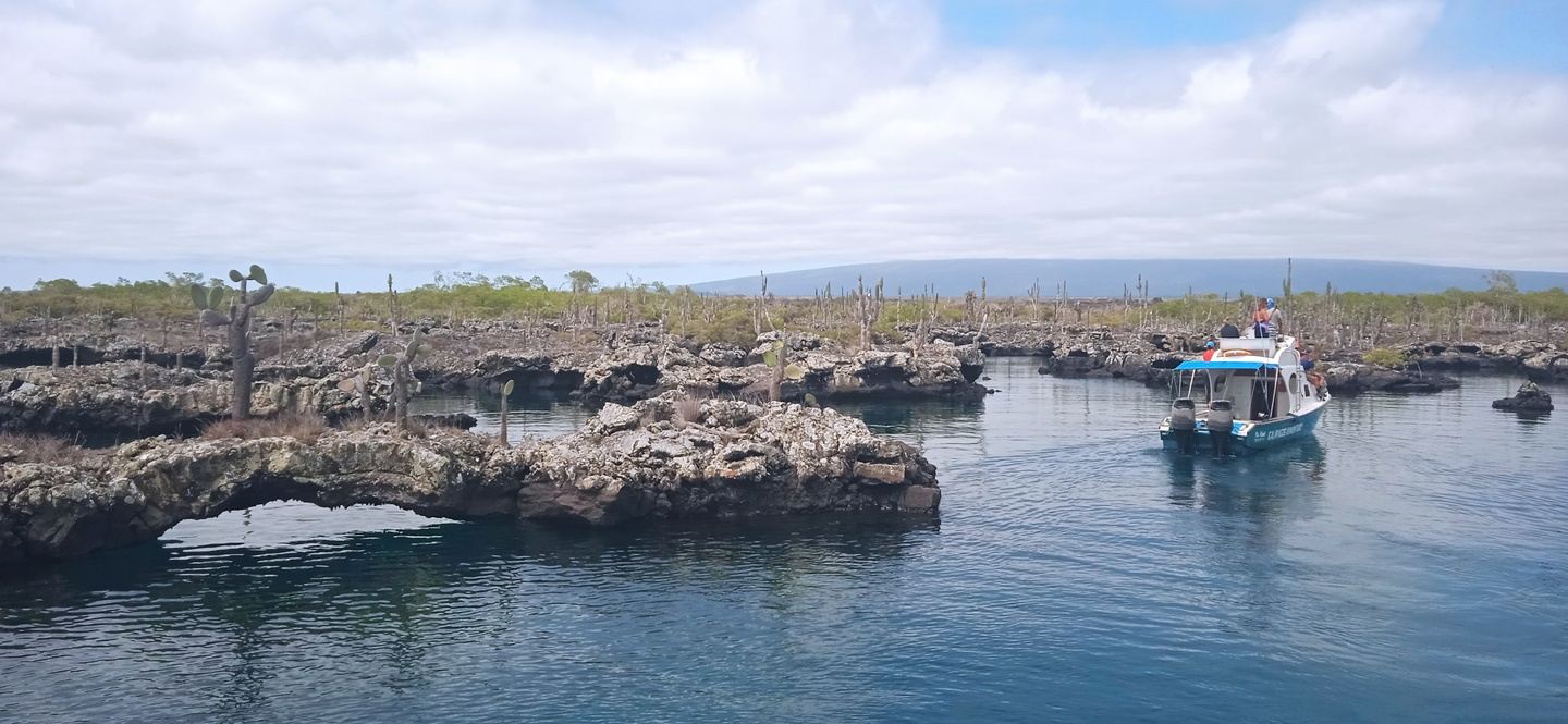 Tour Galápagos Épico 5 días ISABELA Y SANTA CRUZ