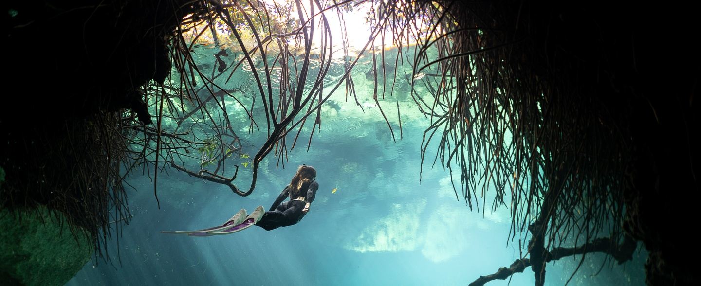 Cenote Hopping and Freediving Adventure