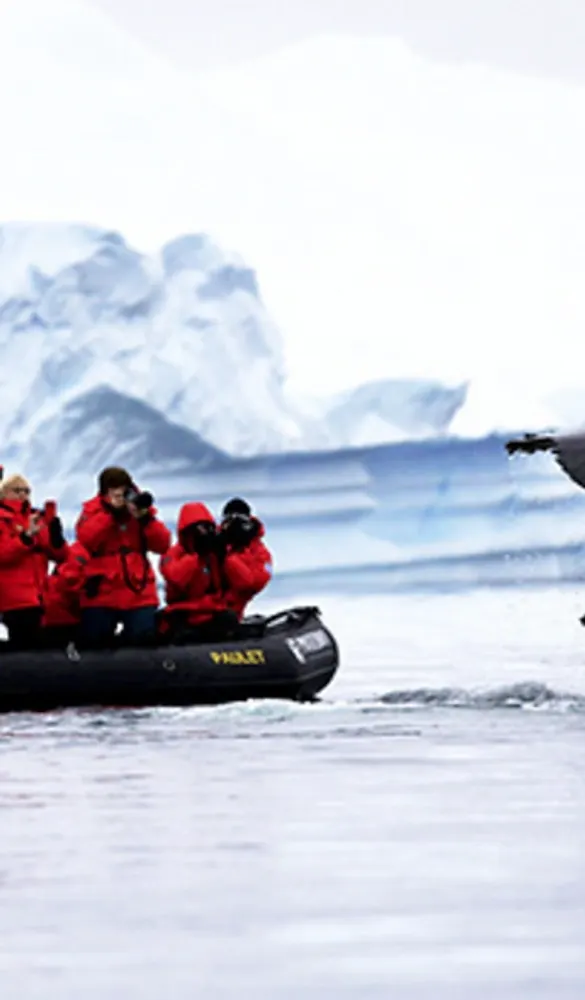 The Ultimate Antartica Experience 2024