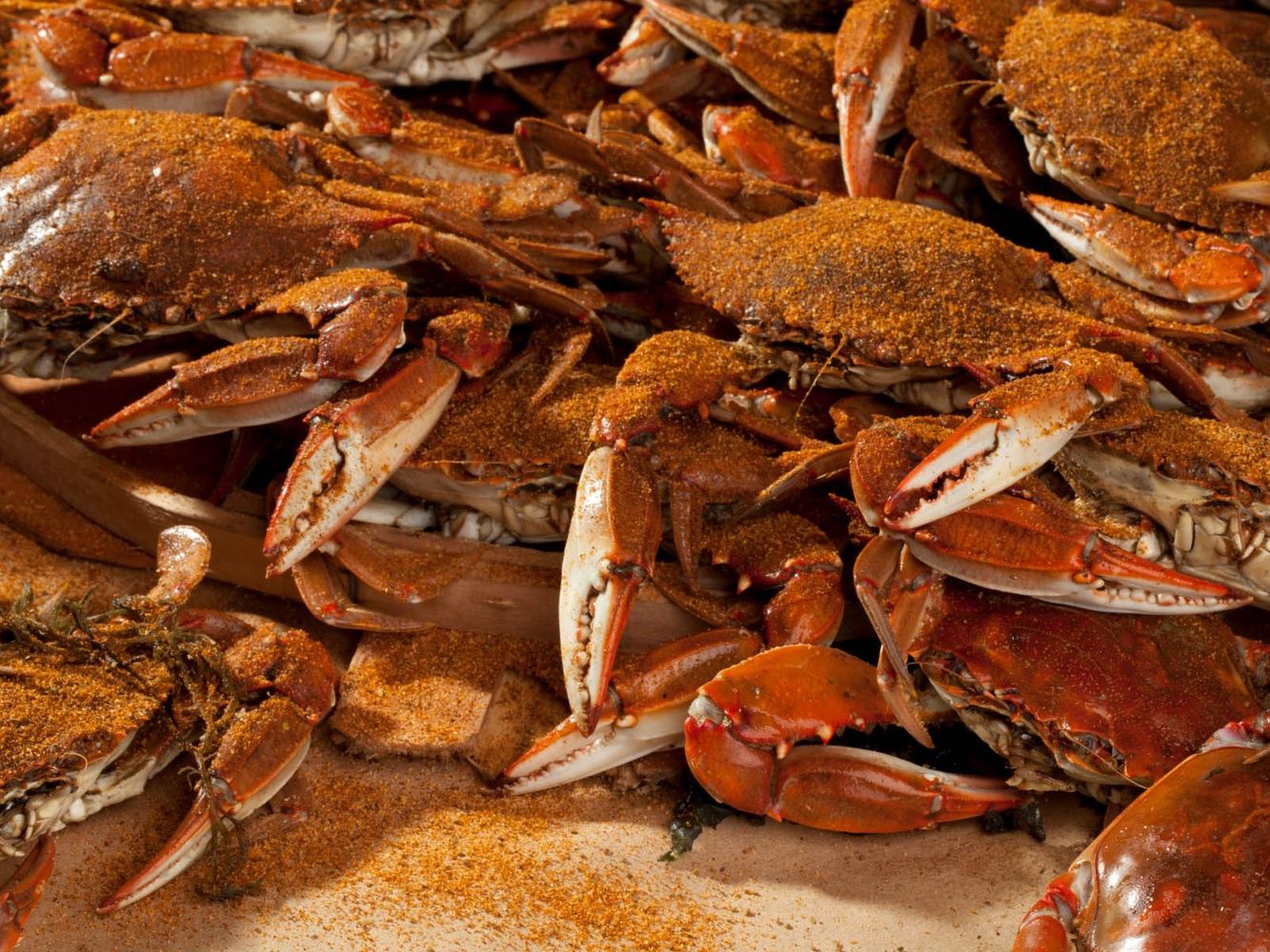 2023 CrabDaddy Festival Bus Trip in Jarvisburg, NC 27939, USA