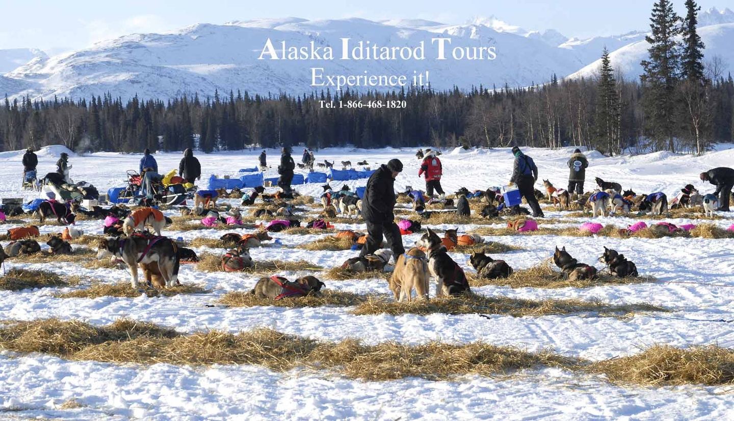 5 Day Iditarod Race Checkpoint Tour