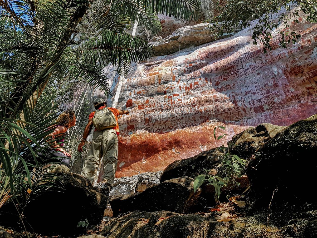 Colombia: Paramos, Amazon and 12,000 year-old Rock Art - 11 days