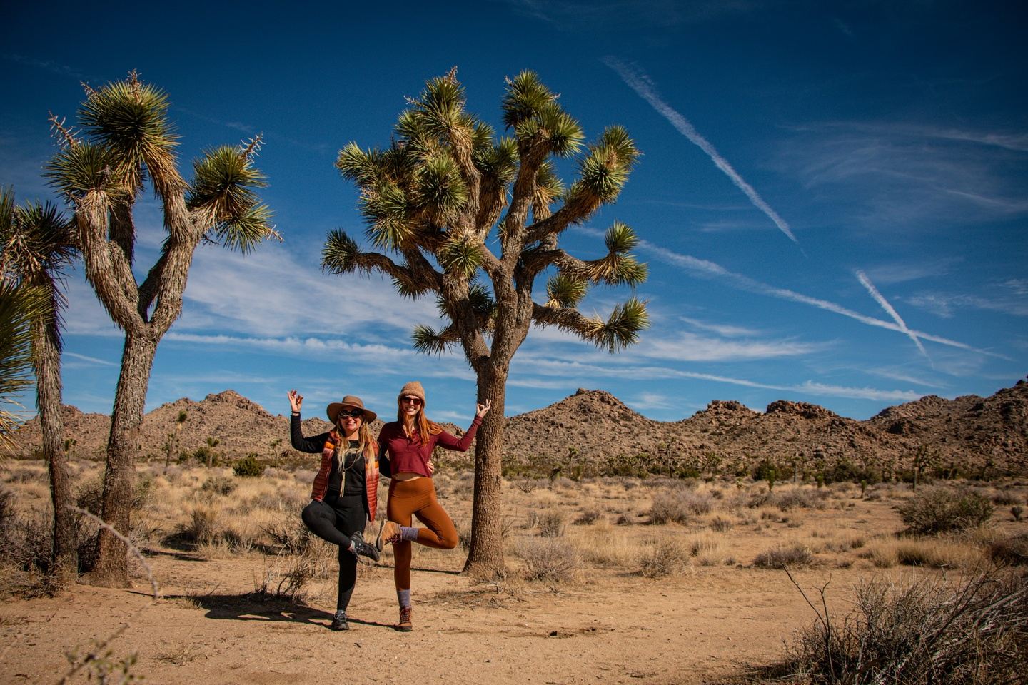 Yin Yoga In the Desert:  Retreat and Teacher Training