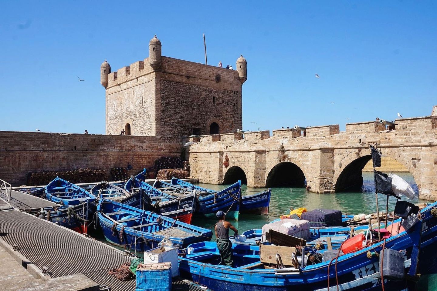 Discover the beautiful city of Essaouira on a day trip