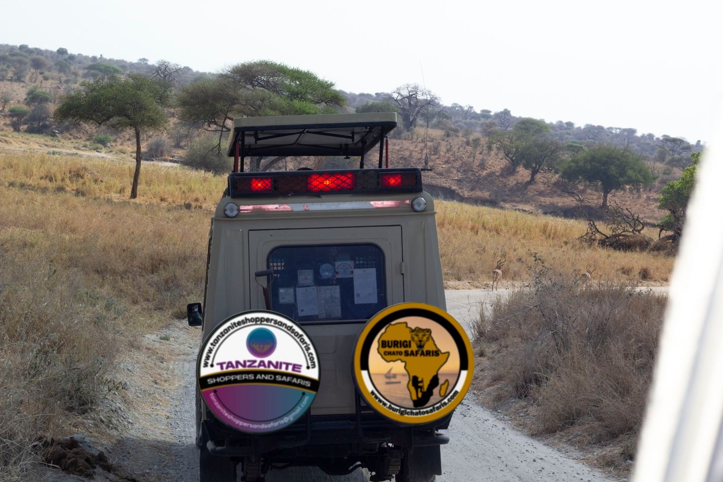 7 Days Serengeti migration Luxury Safari