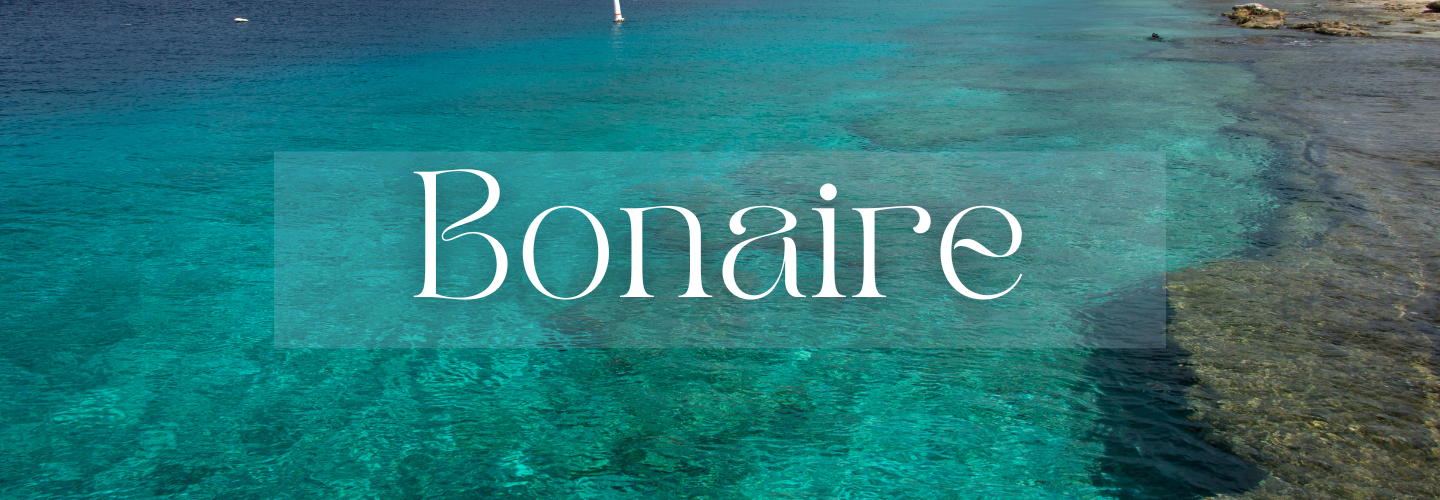 Bonaire’s Marine Majesty: Scuba Expedition