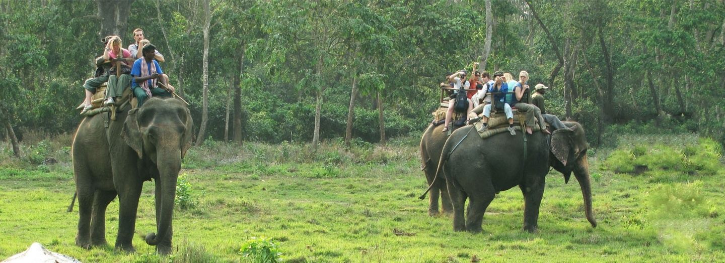 Chitwan Wildlife Tour in Chitwan