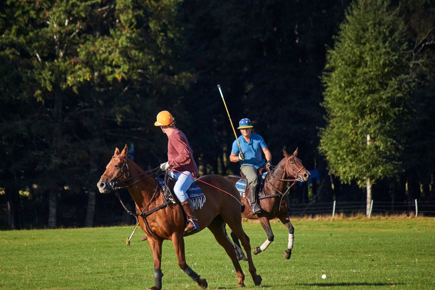 6-Day Polo Camp Tour - Lake and Volcano District