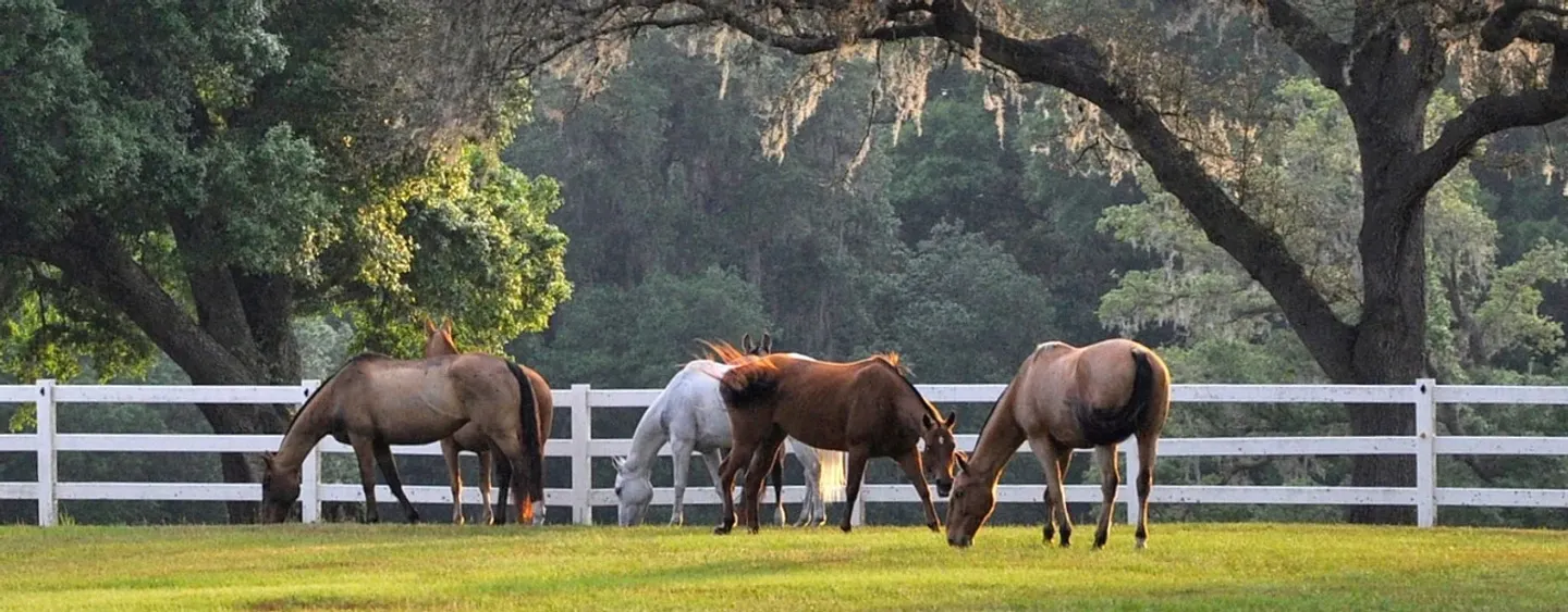 Five Star Ranch Retreat