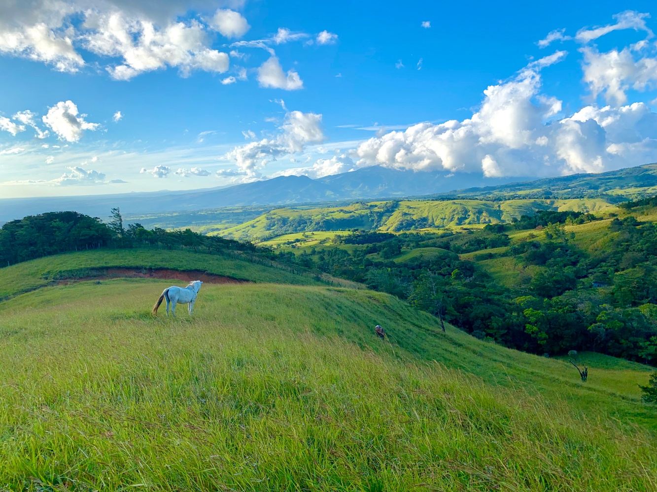 Elemental Pathways: A Sacred Journey with Horses