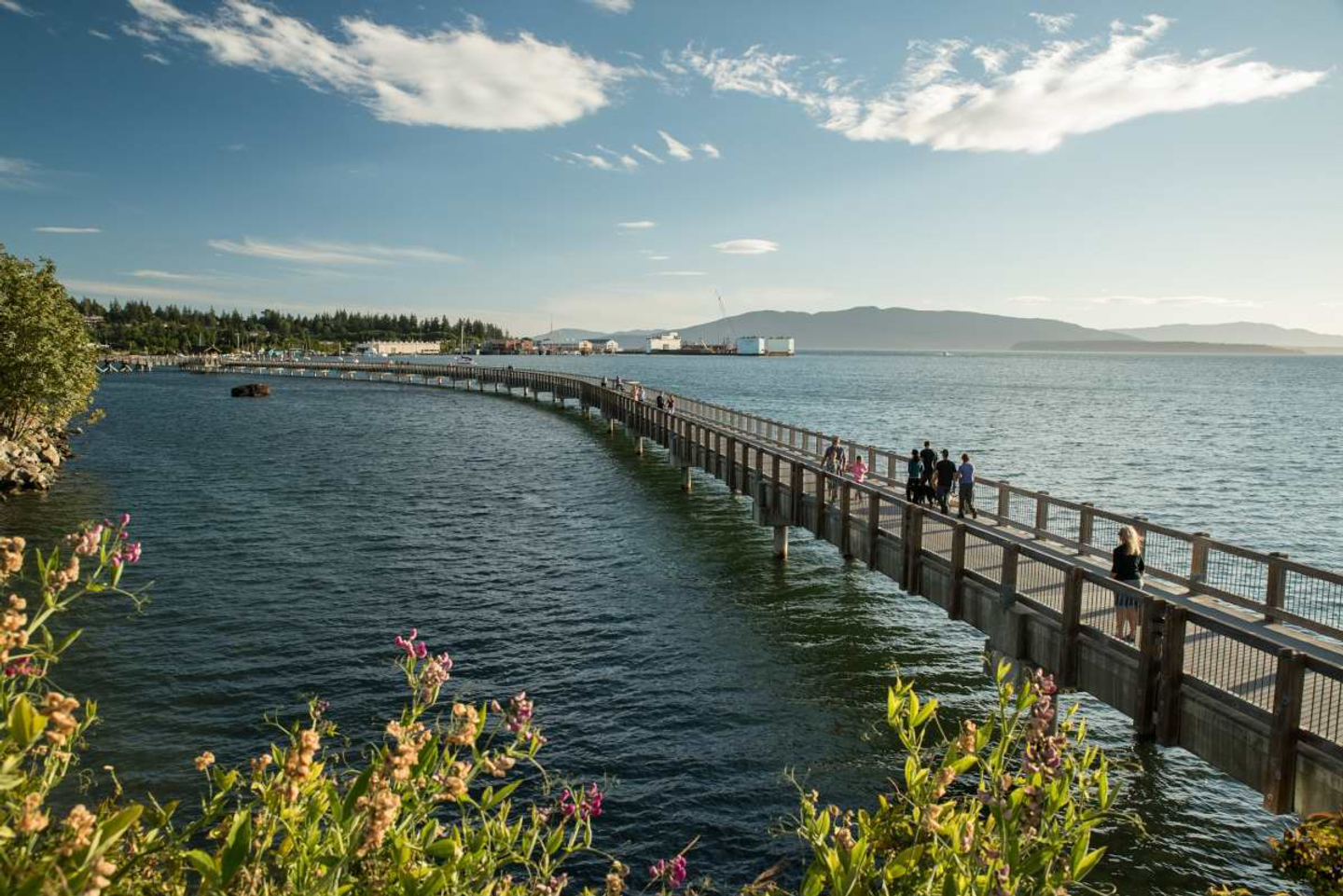 Bellingham Ecosystems Bike Tour | October 19 | 9:30am-12:30pm & 2-5pm