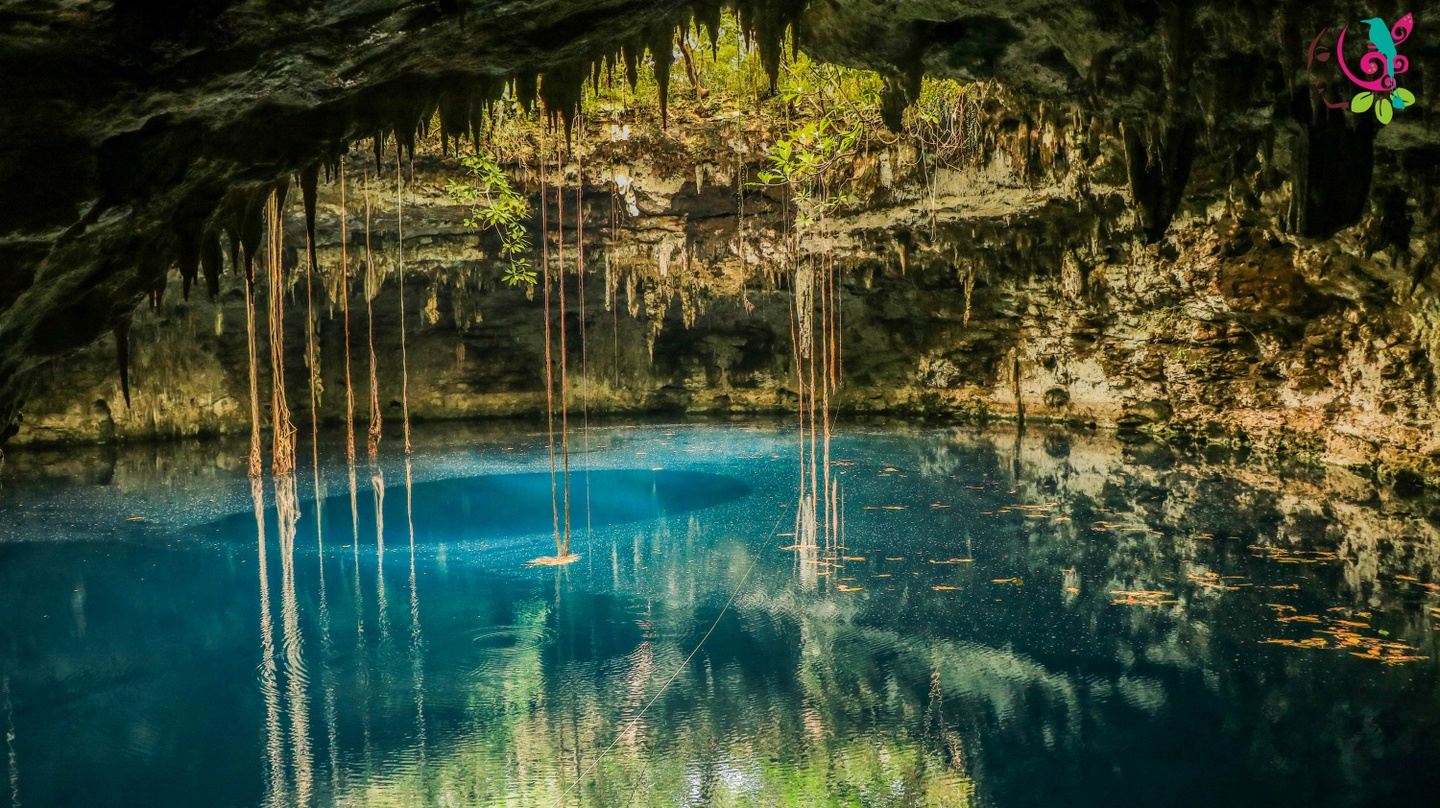 AVENTURA EN EL MAYAB: Explora la belleza del Cenote Xooch
